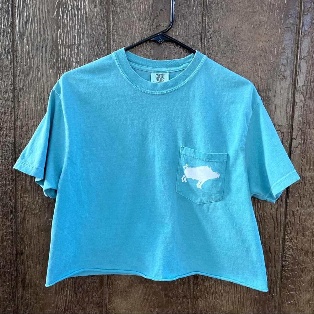 Comfort Colors Teal Von Ebert Brewing Cropped Tee T-shirt, Size Medium